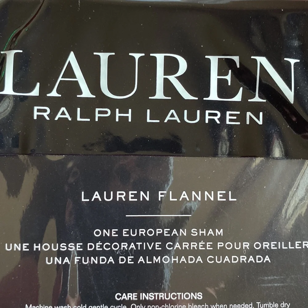 Ralph Lauren Bantry Paisley European Sham Blue & White.